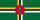 DM flag