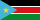 SS flag